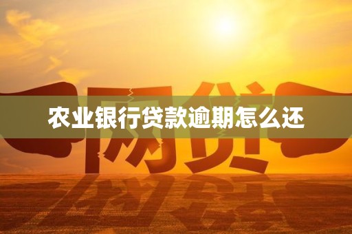 农业银行贷款逾期怎么还