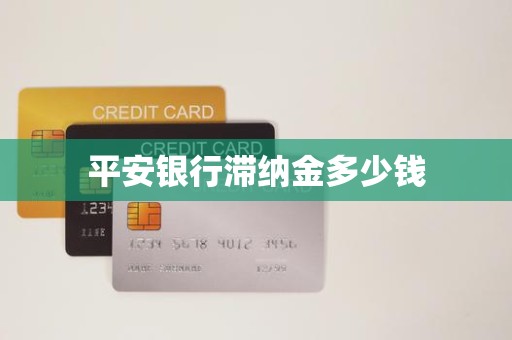 平安银行滞纳金多少钱