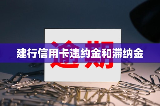 建行信用卡违约金和滞纳金 建行信用卡违约金和滞纳金