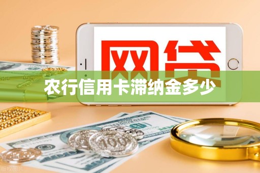 农行信用卡滞纳金多少