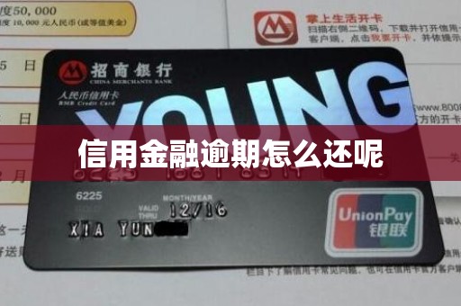 信用金融逾期怎么还呢 信用金融逾期怎么还呢
