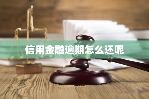 信用金融逾期怎么还呢 信用金融逾期怎么还呢
