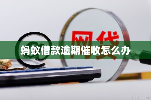 蚂蚁bt用不了怎么办_蚂蚁bt下载引擎 蚂蚁bt用不了怎么办_蚂蚁bt下载引擎（蚂蚁bt不能用了） 磁力资讯