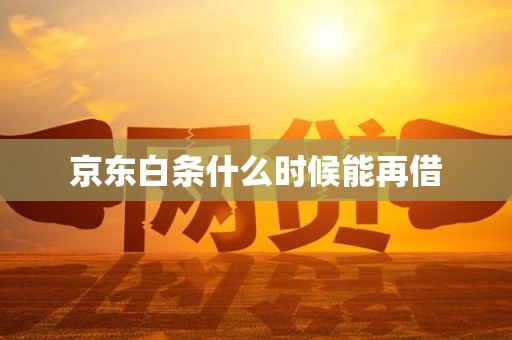 京东白条什么时候能再借