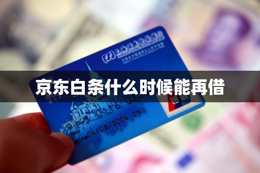 京东白条什么时候能再借