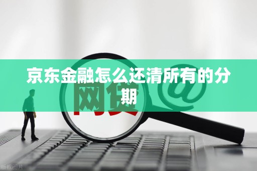 京东金融怎么还清所有的分期