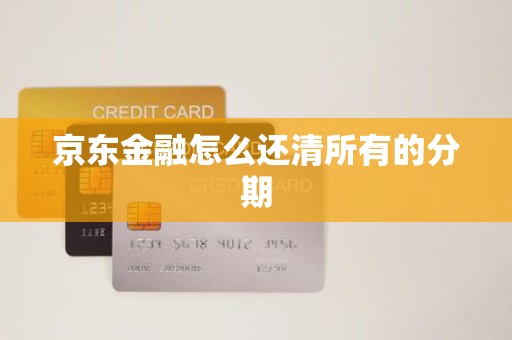 京东金融怎么还清所有的分期
