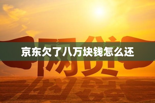 京东欠了八万块钱怎么还