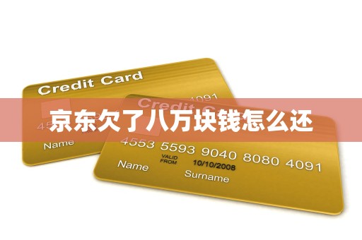 京东欠了八万块钱怎么还