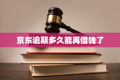 京东逾期多久能再借钱了