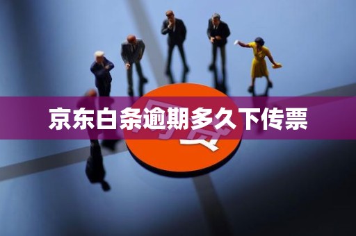 京东白条逾期多久下传票