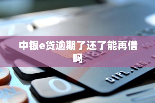 中银e贷逾期了还了能再借吗 中银e贷逾期了还了能再借吗