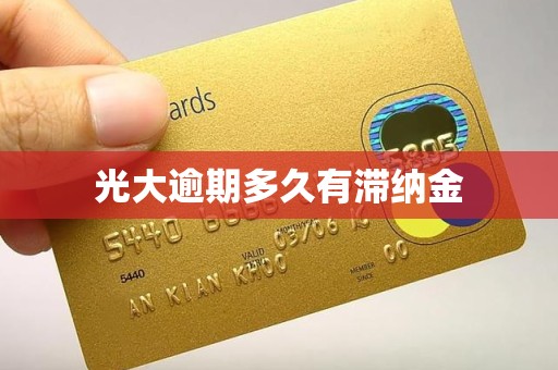 光大逾期多久有滞纳金 光大逾期多久有滞纳金