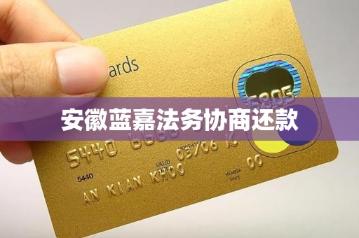 安徽蓝嘉法务协商还款 安徽蓝嘉法务协商还款