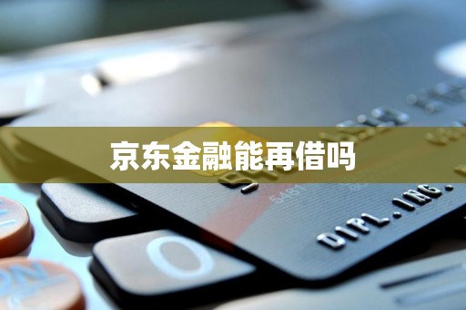 京东金融能再借吗