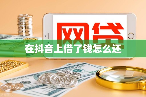 在抖音上借了钱怎么还