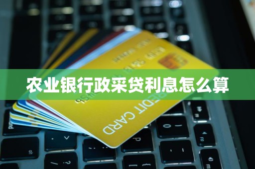 农业银行政采贷利息怎么算