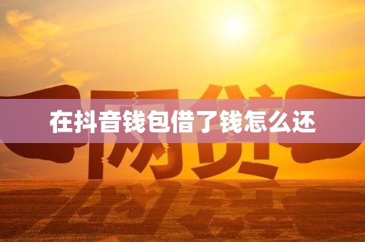 在抖音钱包借了钱怎么还 在抖音钱包借了钱怎么还