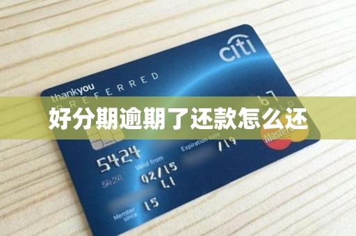 好分期逾期了还款怎么还