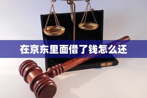 在京东里面借了钱怎么还 在京东里面借了钱怎么还