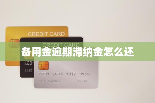 备用金逾期滞纳金怎么还 备用金逾期滞纳金怎么还