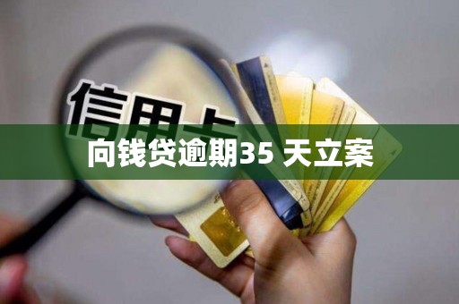 向钱贷逾期35 天立案
