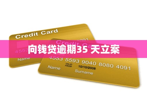 向钱贷逾期35 天立案
