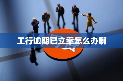 工行逾期已立案怎么办啊