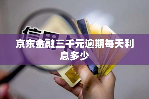 京东金融三千元逾期每天利息多少