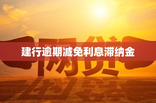 建行逾期减免利息滞纳金