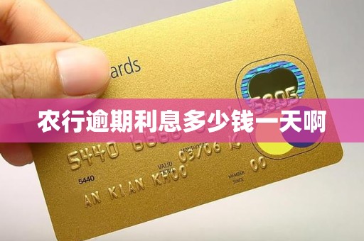 农行逾期利息多少钱一天啊