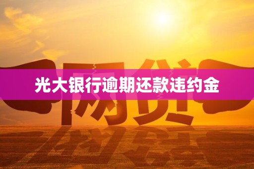 光大银行逾期还款违约金