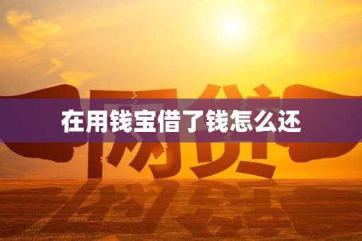 在用钱宝借了钱怎么还