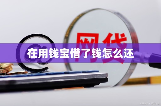 在用钱宝借了钱怎么还