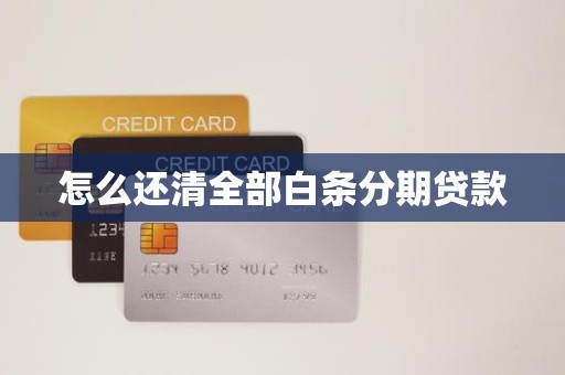 怎么还清全部白条分期贷款