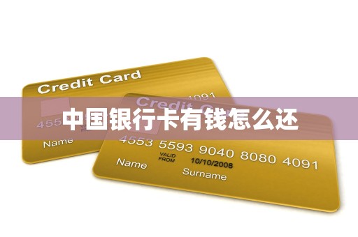 中国银行卡有钱怎么还