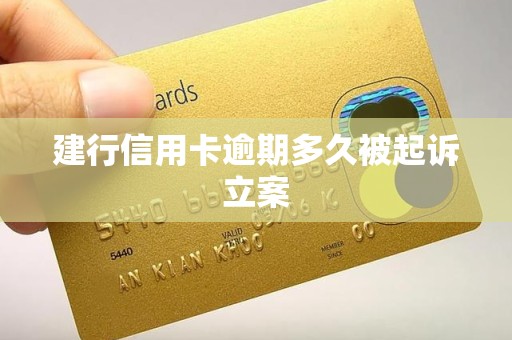 建行信用卡逾期多久被起诉立案