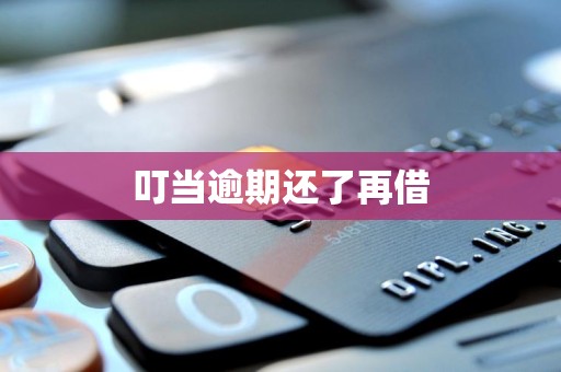 叮当逾期还了再借