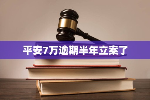 平安7万逾期半年立案了