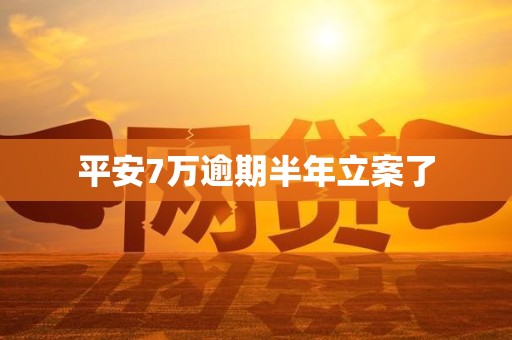 平安7万逾期半年立案了