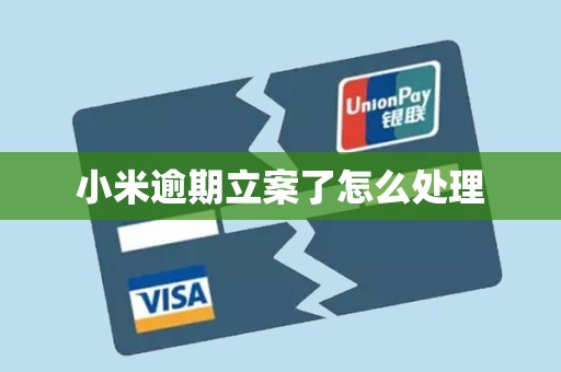 小米逾期立案了怎么处理