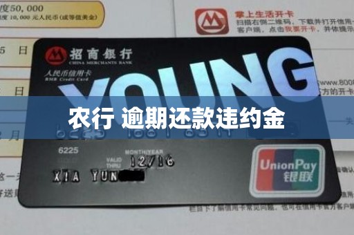 农行 逾期还款违约金