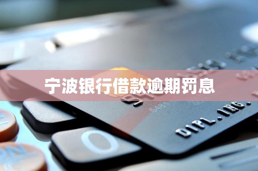 宁波银行借款逾期罚息