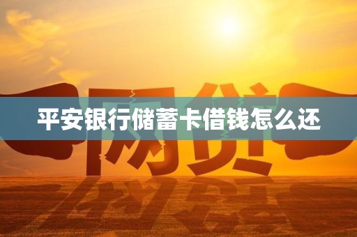 平安银行储蓄卡借钱怎么还