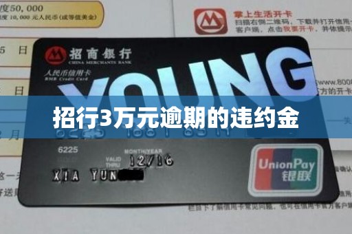 招行3万元逾期的违约金