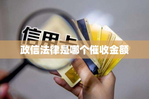 政信法律是哪个催收金额