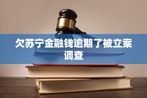欠苏宁金融钱逾期了被立案调查 欠苏宁金融钱逾期了被立案调查