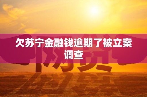 欠苏宁金融钱逾期了被立案调查 欠苏宁金融钱逾期了被立案调查
