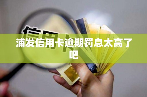 浦发信用卡逾期罚息太高了吧