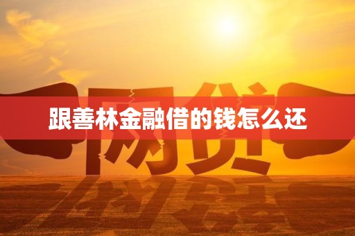 跟善林金融借的钱怎么还